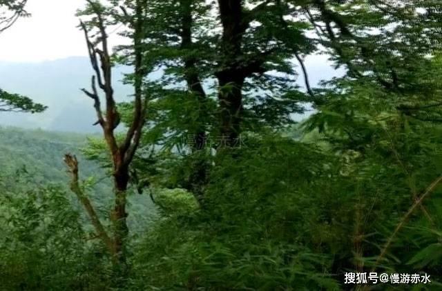 神秘的机场
